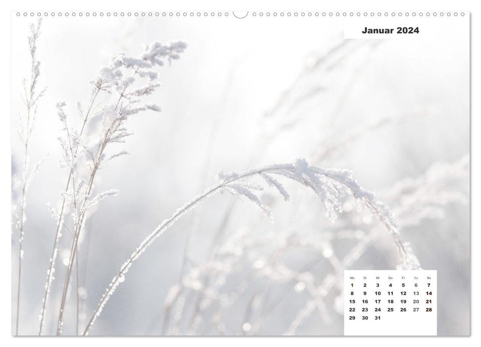 Nature motifs - craft calendar (CALVENDO Premium Wall Calendar 2024) 