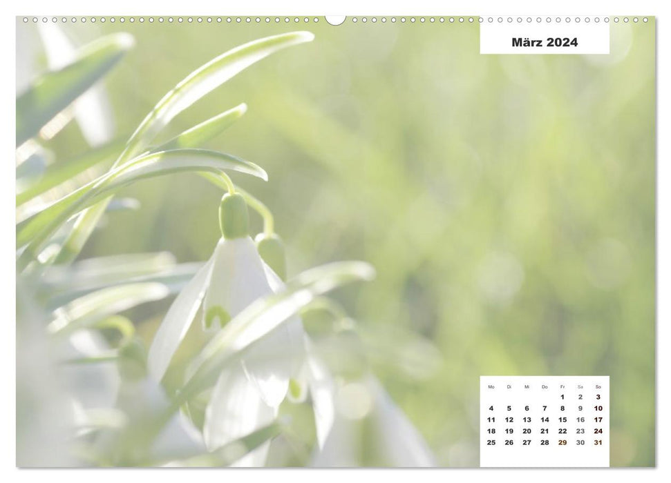 Nature motifs - craft calendar (CALVENDO Premium Wall Calendar 2024) 