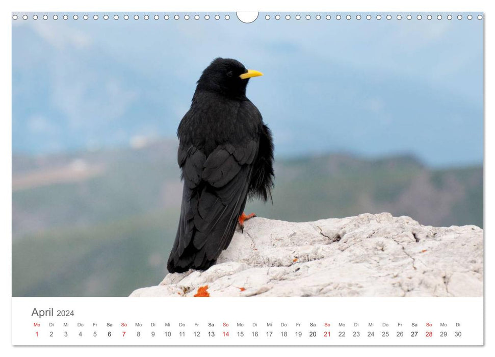 Living in the wild - wild animals in a natural environment (CALVENDO wall calendar 2024) 