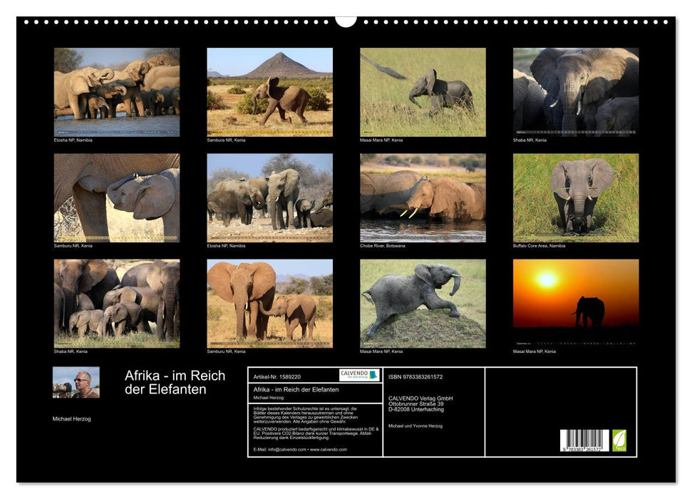 Africa - in the kingdom of elephants (CALVENDO wall calendar 2024) 