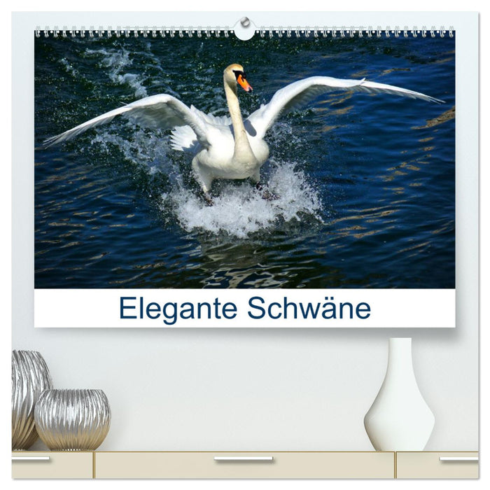 Elegant swans (CALVENDO Premium wall calendar 2024) 