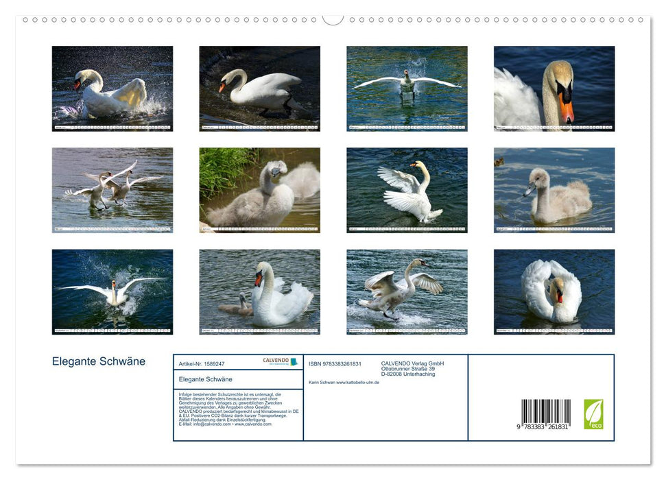 Elegant swans (CALVENDO Premium wall calendar 2024) 