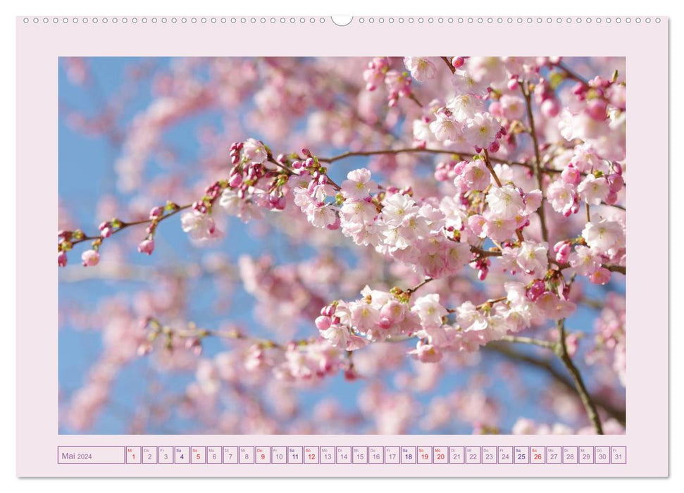 Blüten - Zauber aus dem Garten (CALVENDO Premium Wandkalender 2024)