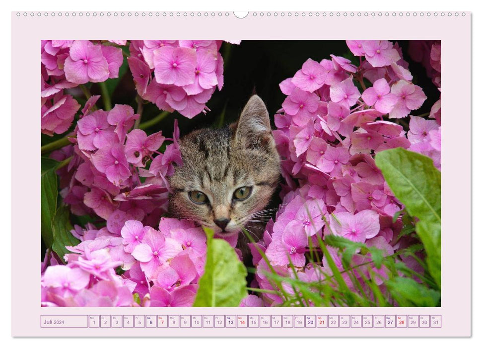 Blüten - Zauber aus dem Garten (CALVENDO Premium Wandkalender 2024)