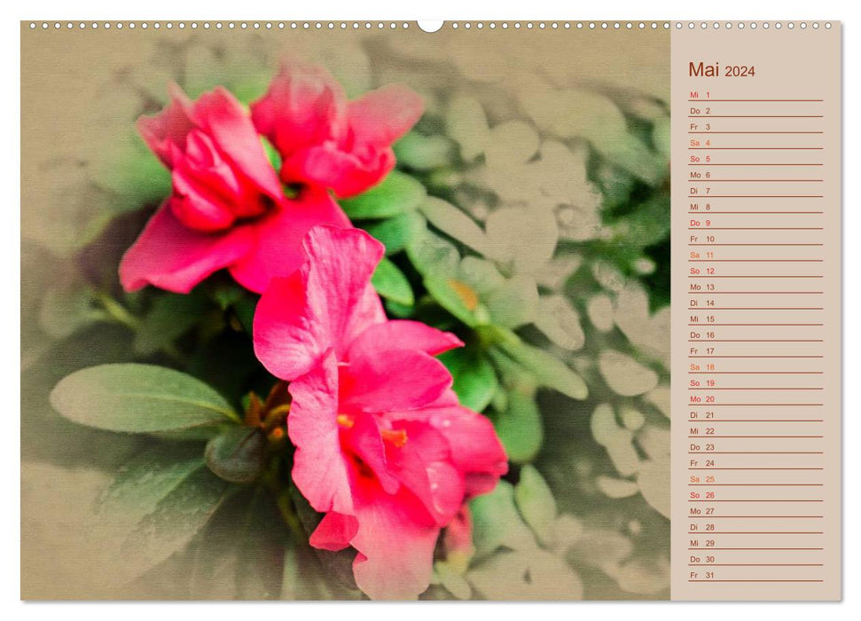 Camellia flowers (CALVENDO wall calendar 2024) 