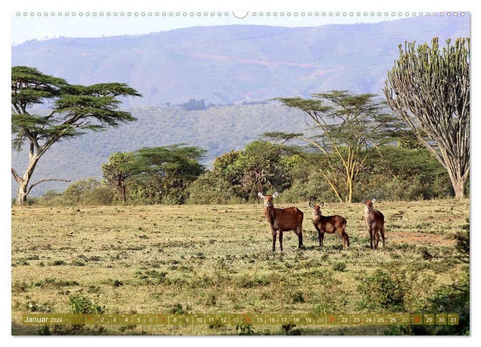 Traumlandschaften Kenia (CALVENDO Premium Wandkalender 2024)
