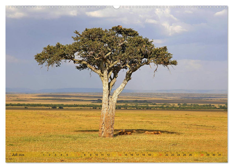 Dream landscapes Kenya (CALVENDO Premium Wall Calendar 2024) 