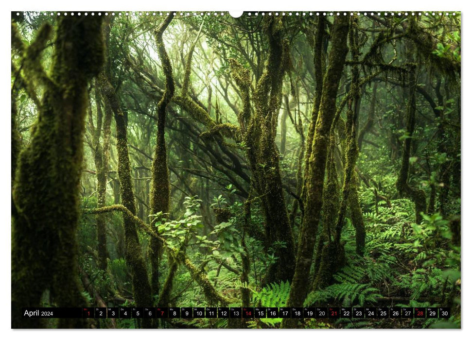 Teneriffa - Insel der Vielfalt (CALVENDO Premium Wandkalender 2024)