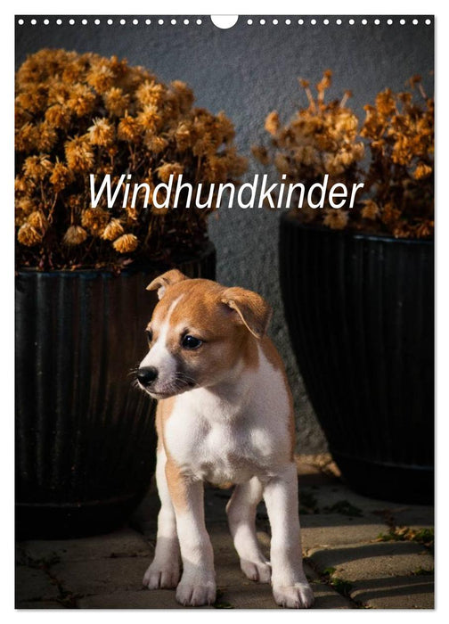 Windhundkinder (CALVENDO Wandkalender 2024)