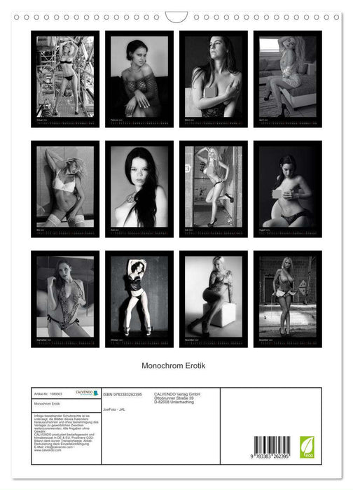 Monochrome Erotic (CALVENDO Wall Calendar 2024) 