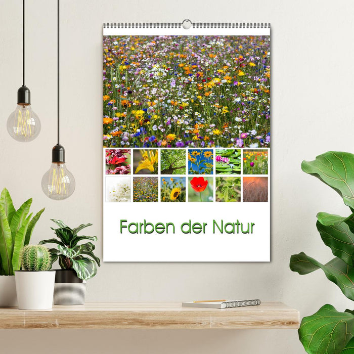 Farben der Natur (CALVENDO Wandkalender 2024)