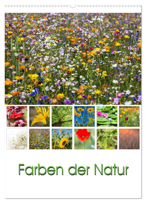 Farben der Natur (CALVENDO Wandkalender 2024)