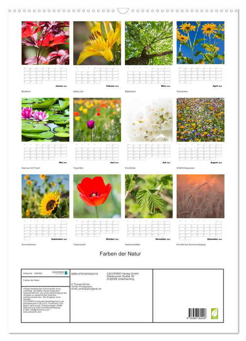 Colors of nature (CALVENDO wall calendar 2024) 