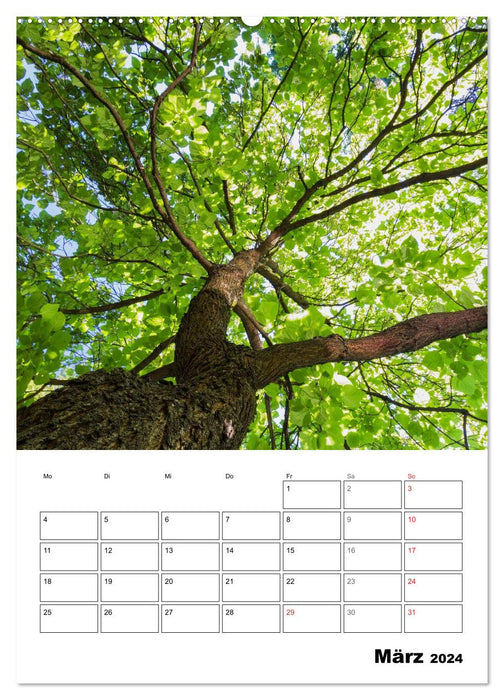 Farben der Natur (CALVENDO Wandkalender 2024)