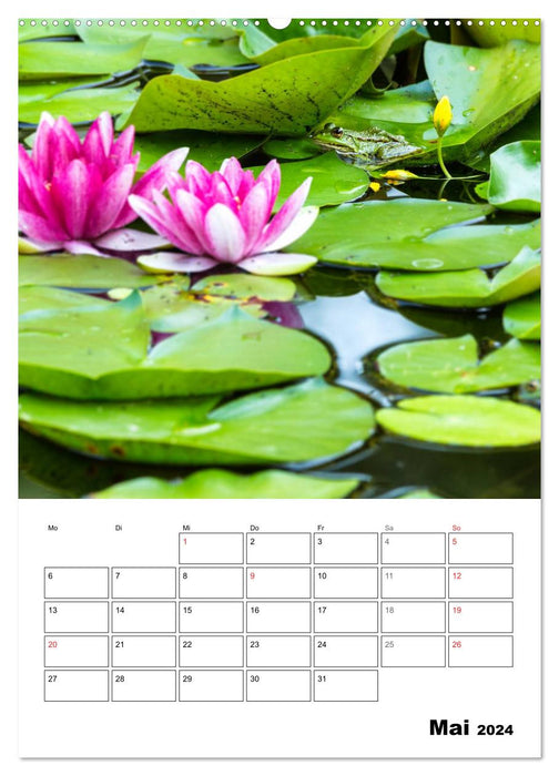 Farben der Natur (CALVENDO Wandkalender 2024)