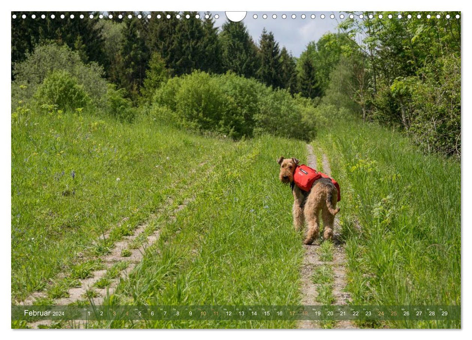 Wanderpfoten. Trekking mit Hund (CALVENDO Wandkalender 2024)