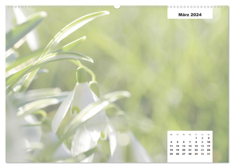 Naturmotive - Bastelkalender (CALVENDO Wandkalender 2024)