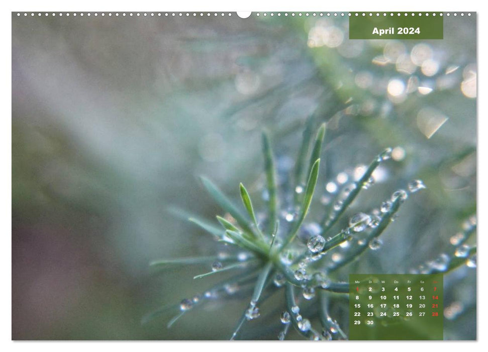 Maleriesche NATUR - Nahbereich (CALVENDO Premium Wandkalender 2024)