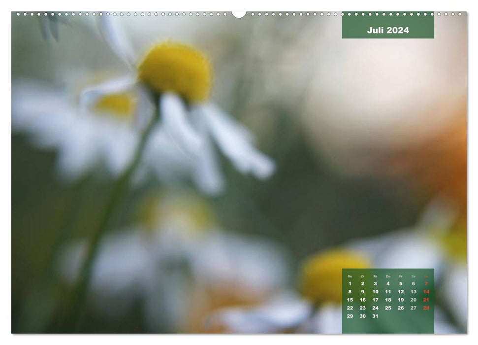 Maleriesche NATUR - Nahbereich (CALVENDO Premium Wandkalender 2024)