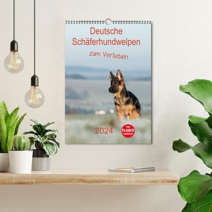 Deutsche Schäferhundwelpen zum Verlieben (CALVENDO Wandkalender 2024)