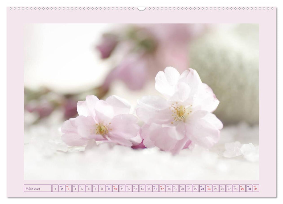 Blüten - Zauber aus dem Garten (CALVENDO Wandkalender 2024)