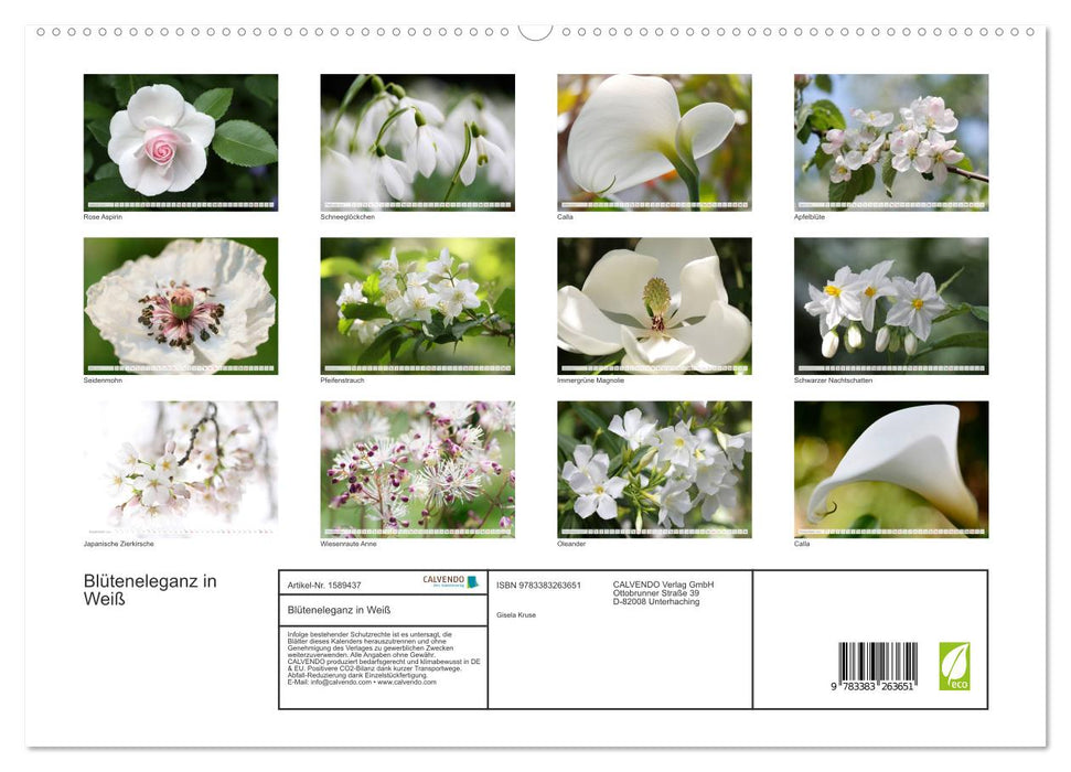 Blüteneleganz in Weiß (CALVENDO Premium Wandkalender 2024)