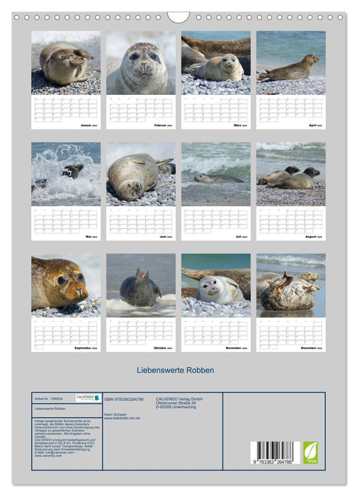 Liebenswerte Robben (CALVENDO Wandkalender 2024)