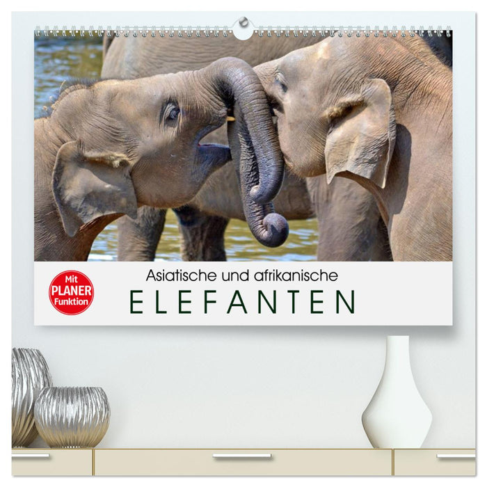Asiatische und afrikanische Elefanten (CALVENDO Premium Wandkalender 2024)