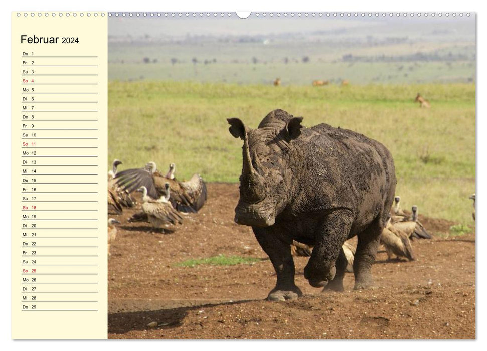 Wildes Leben in Botswana (CALVENDO Premium Wandkalender 2024)