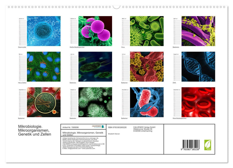 Mikrobiologie. Mikroorganismen, Genetik und Zellen (CALVENDO Premium Wandkalender 2024)