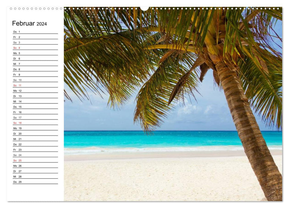 Traumstrände in der Karibik (CALVENDO Premium Wandkalender 2024)