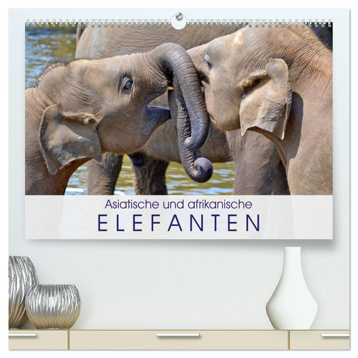 Asiatische und afrikanische Elefanten (CALVENDO Premium Wandkalender 2024)