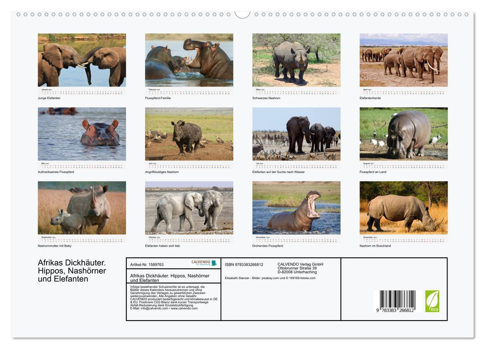 Afrikas Dickhäuter. Hippos, Nashörner und Elefanten (CALVENDO Premium Wandkalender 2024)