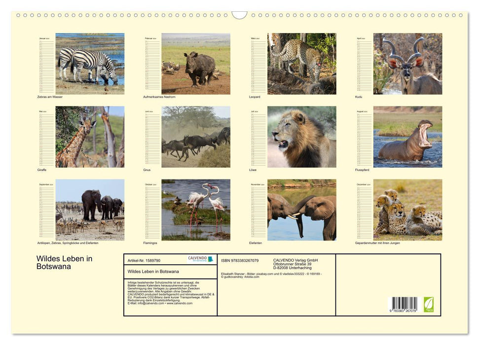 Wildes Leben in Botswana (CALVENDO Wandkalender 2024)