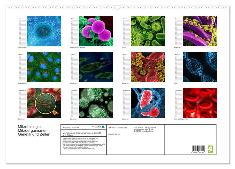 Microbiologie. Microorganismes, génétique et cellules (calendrier mural CALVENDO 2024) 