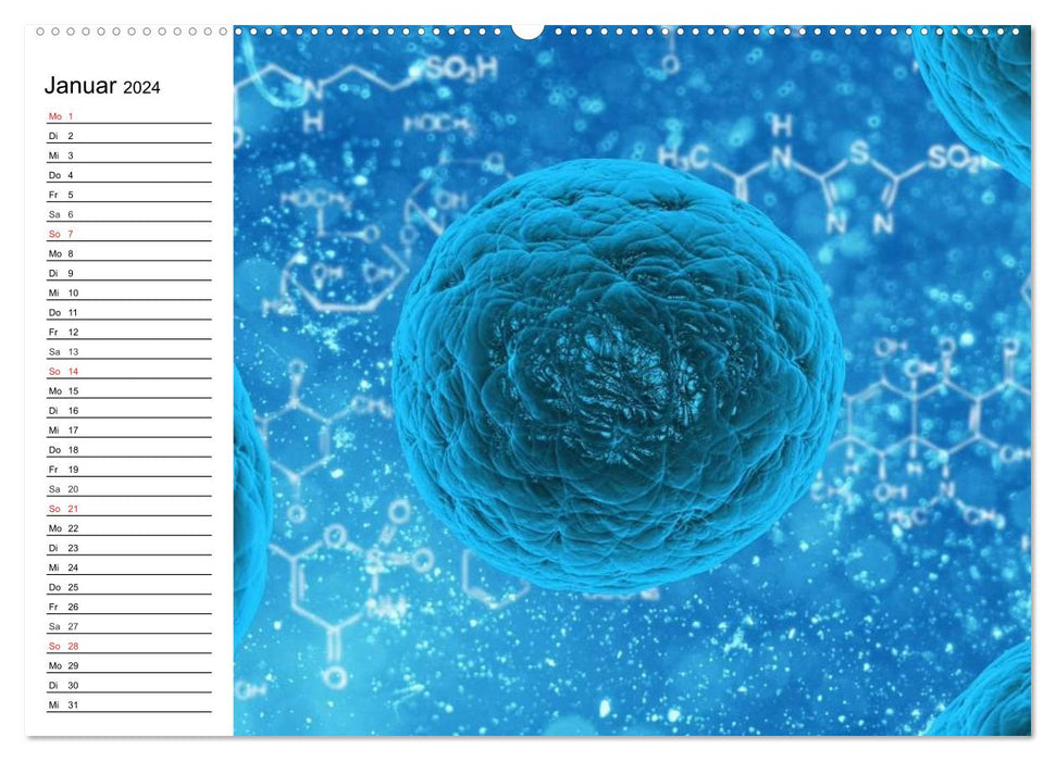 Mikrobiologie. Mikroorganismen, Genetik und Zellen (CALVENDO Wandkalender 2024)