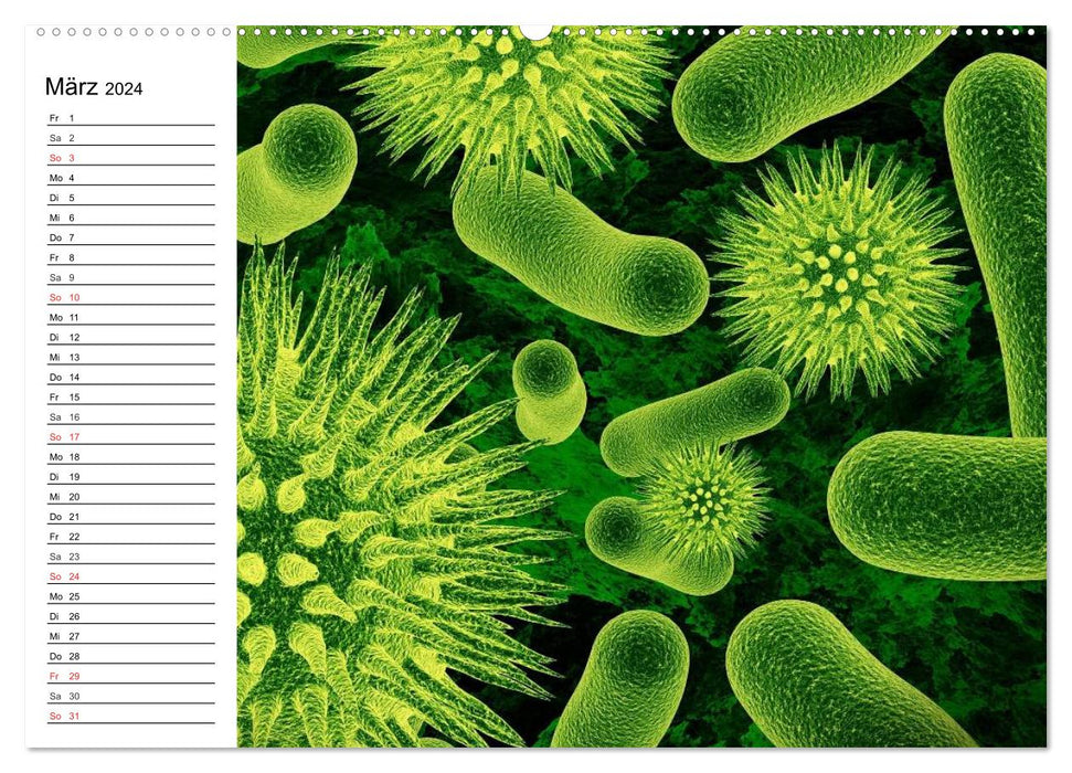 Microbiologie. Microorganismes, génétique et cellules (calendrier mural CALVENDO 2024) 