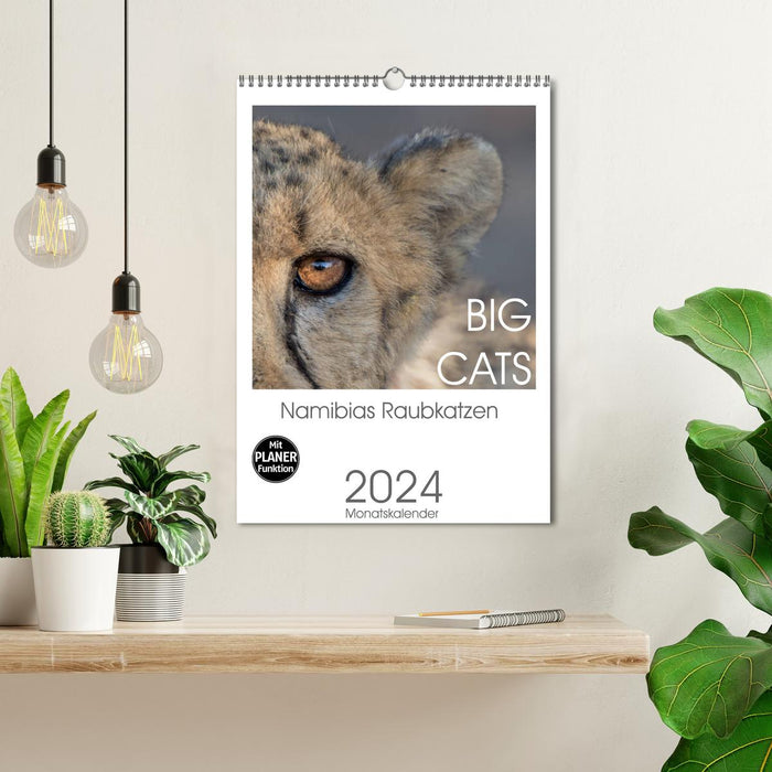 BIG CATS - Namibias Raubkatzen (CALVENDO Wandkalender 2024)