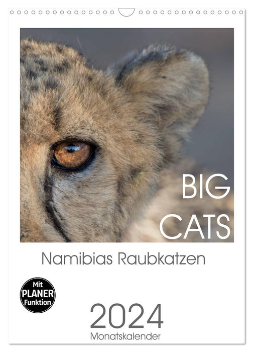 BIG CATS - Namibias Raubkatzen (CALVENDO Wandkalender 2024)