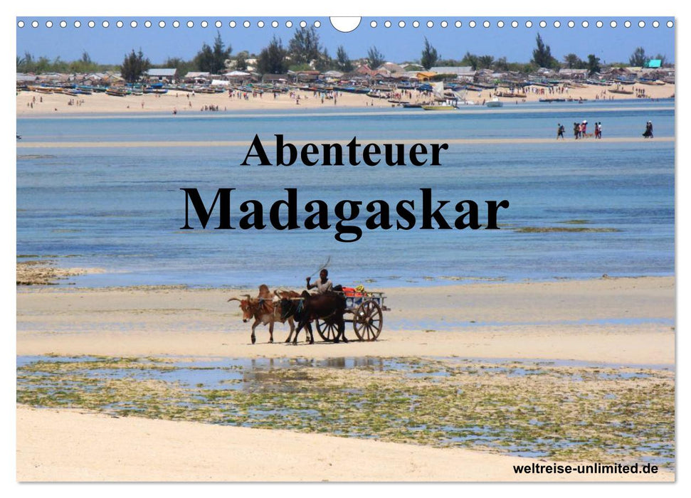 Abenteuer Madagaskar (CALVENDO Wandkalender 2024)