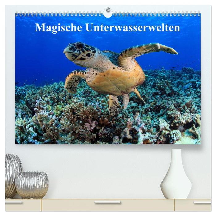 Magische Unterwasserwelten (CALVENDO Premium Wandkalender 2024)