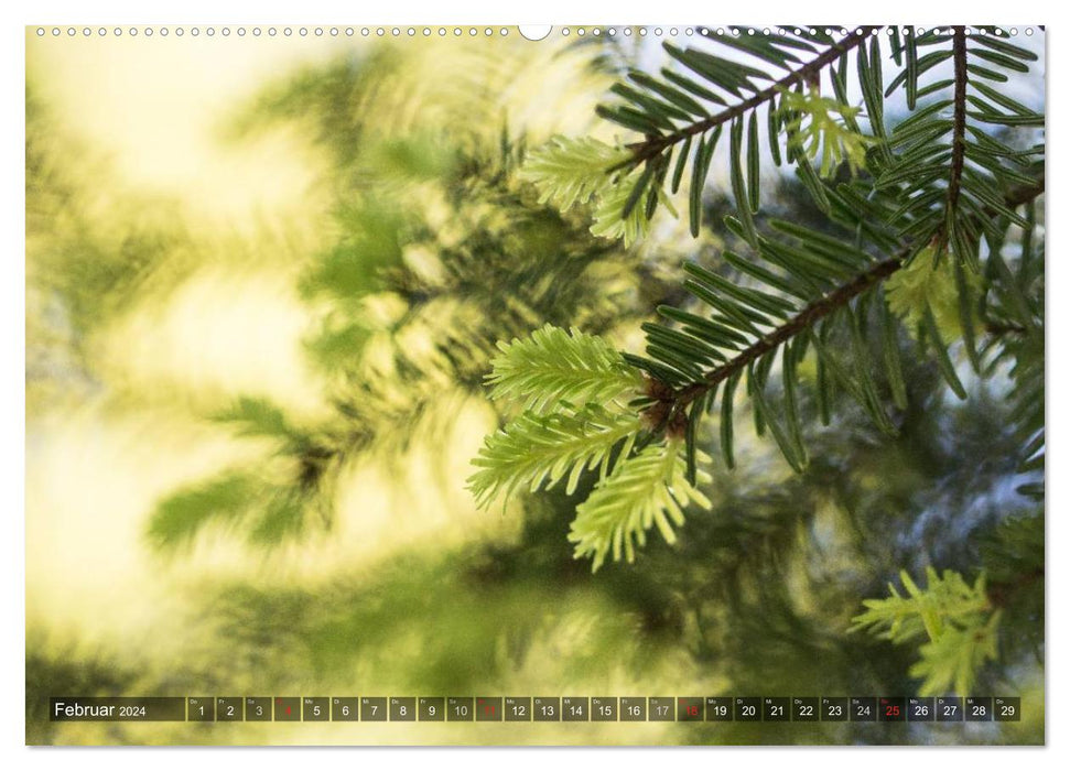 Feng Shui Farben - Element: Holz (CALVENDO Premium Wandkalender 2024)