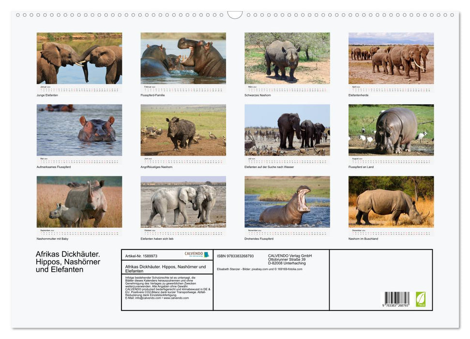 Afrikas Dickhäuter. Hippos, Nashörner und Elefanten (CALVENDO Wandkalender 2024)