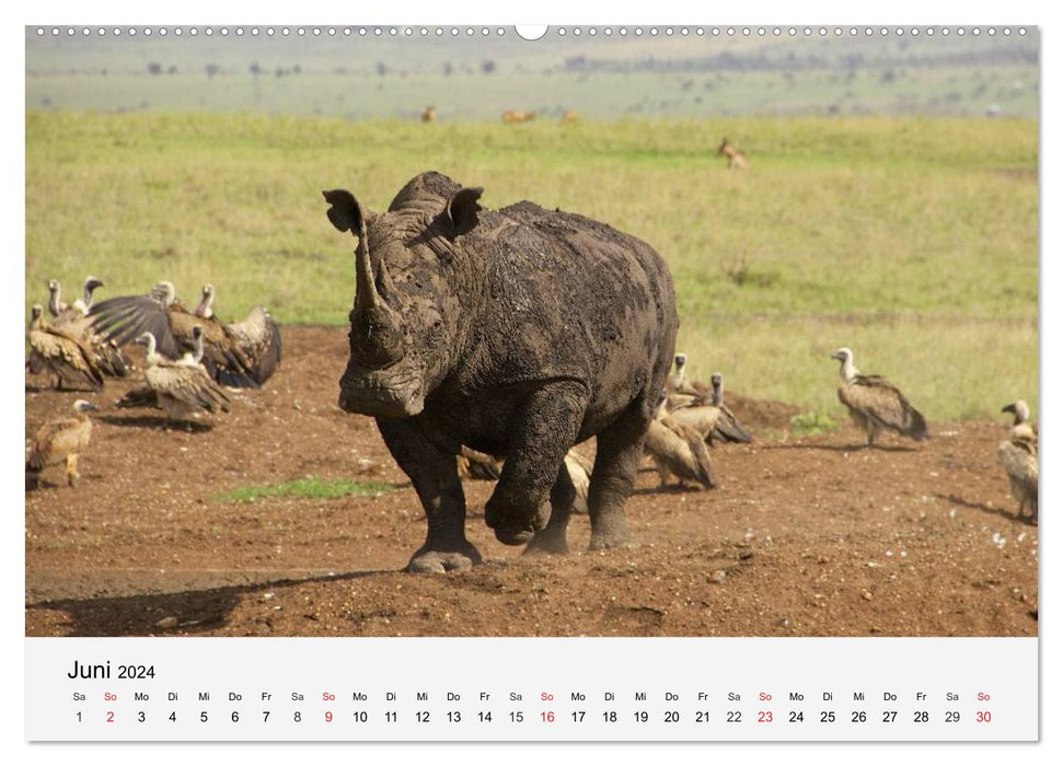 Les pachydermes d'Afrique. Hippopotames, rhinocéros et éléphants (Calendrier mural CALVENDO 2024) 