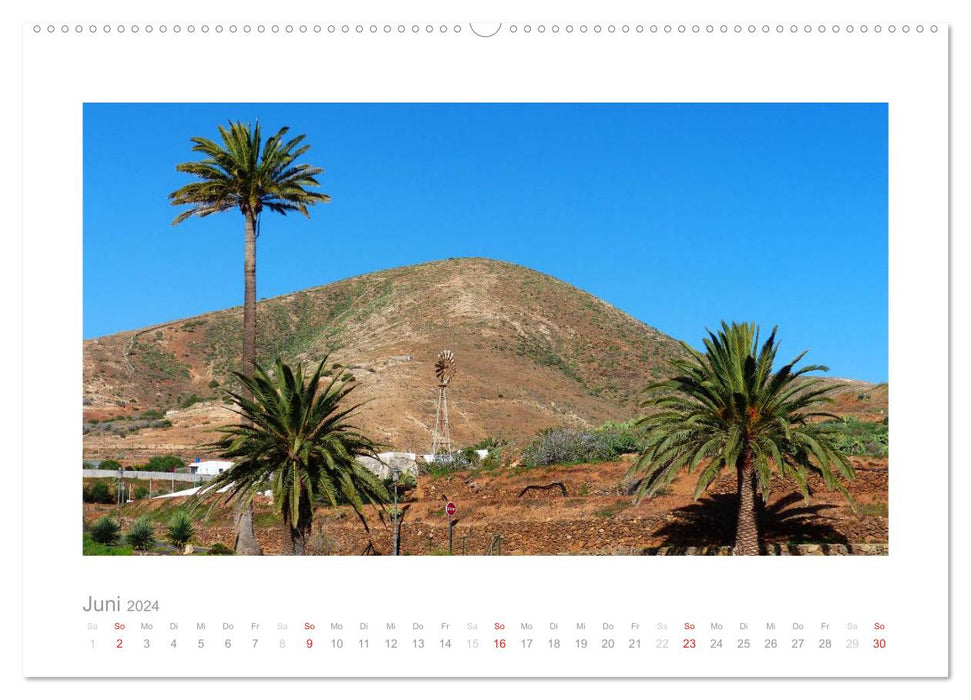 Quer durch Fuerteventura (CALVENDO Premium Wandkalender 2024)