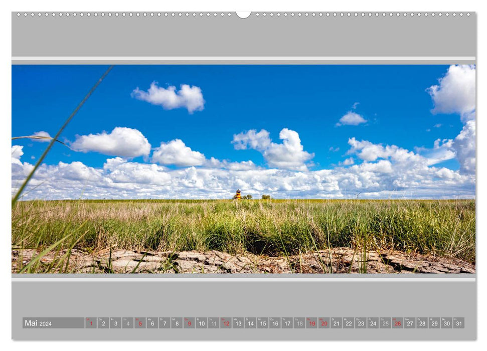 Le phare de Pilsum (calendrier mural CALVENDO 2024) 