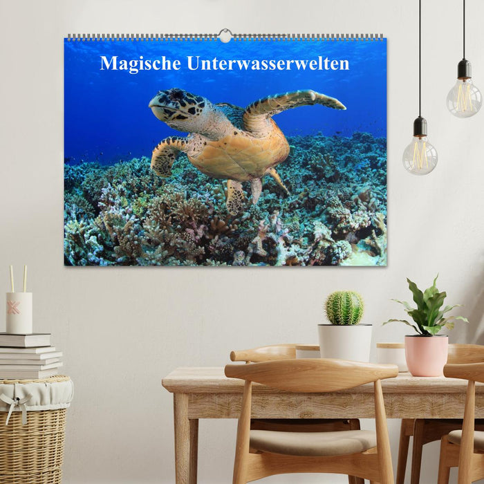 Magische Unterwasserwelten (CALVENDO Wandkalender 2024)