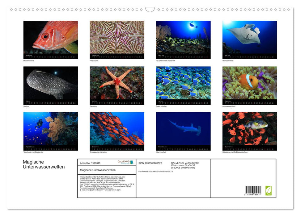 Magical underwater worlds (CALVENDO wall calendar 2024) 