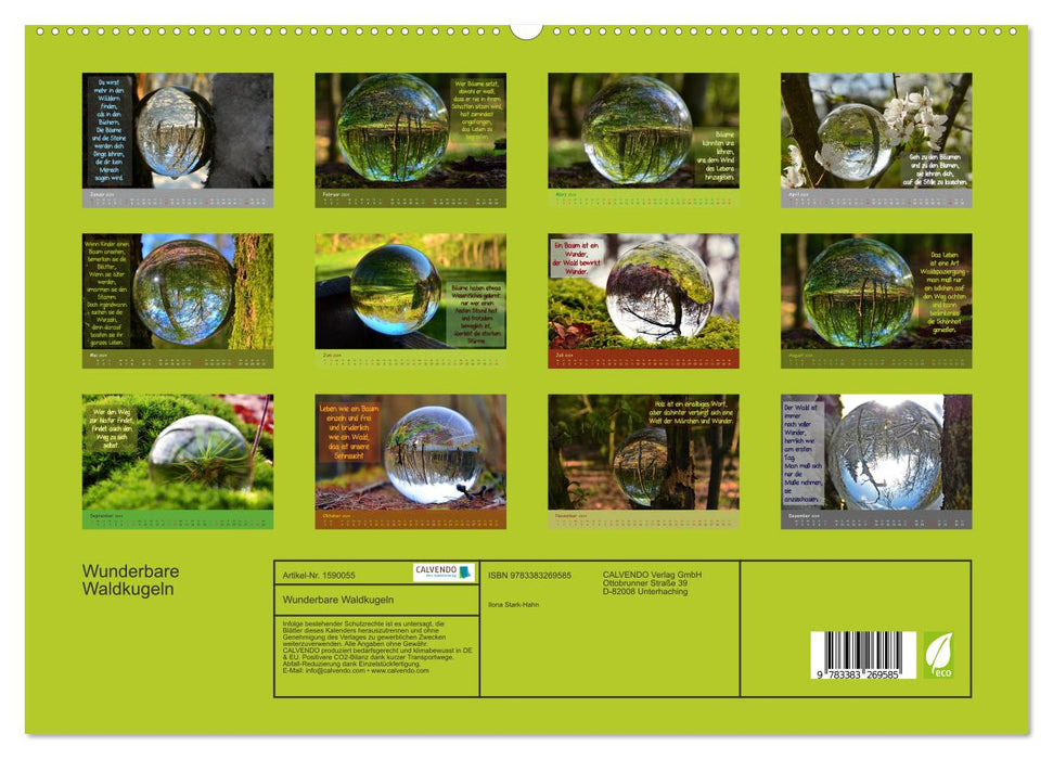 Wunderbare Waldkugeln (CALVENDO Premium Wandkalender 2024)