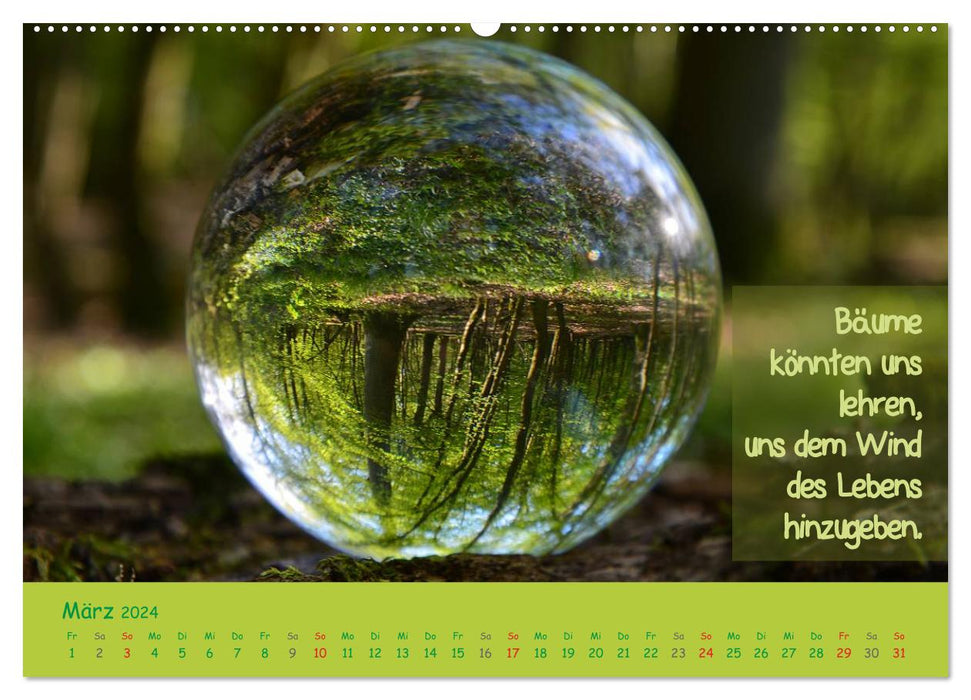 Wunderbare Waldkugeln (CALVENDO Premium Wandkalender 2024)